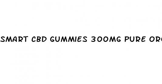 smart cbd gummies 300mg pure organic hemp extract