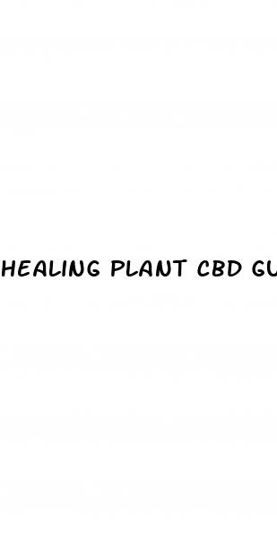 healing plant cbd gummies