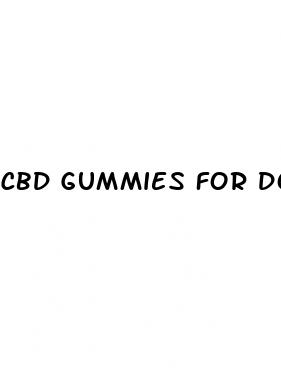 cbd gummies for dogs with seizures