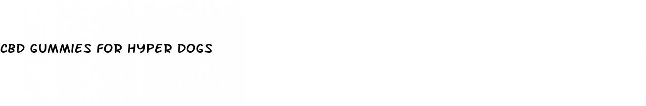 cbd gummies for hyper dogs