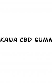 kana cbd gummies shark tank