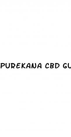 purekana cbd gummies tinnitus