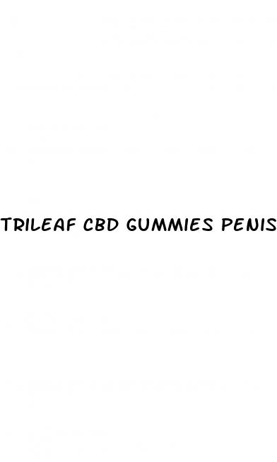 trileaf cbd gummies penis