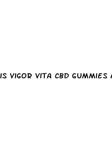 is vigor vita cbd gummies a scam