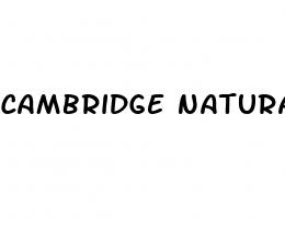 cambridge naturals cbd gummies