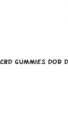 cbd gummies dor dogs