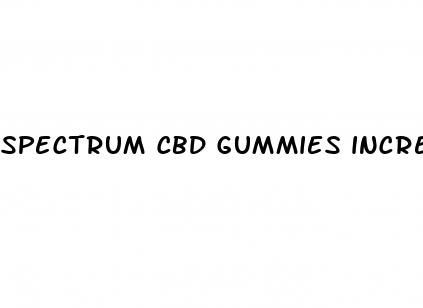 spectrum cbd gummies increase size
