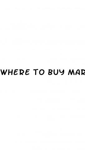 where to buy martha stewart cbd gummies