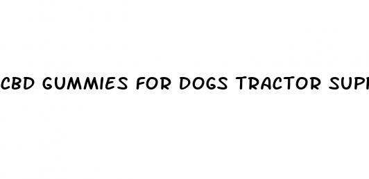 cbd gummies for dogs tractor supply