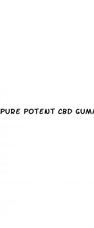pure potent cbd gummies review