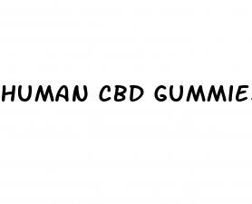 human cbd gummies for dogs