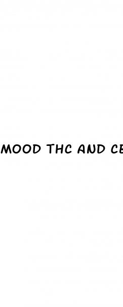 mood thc and cbd gummies