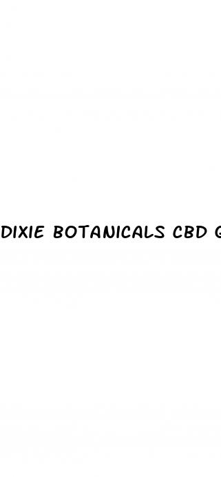dixie botanicals cbd gummies