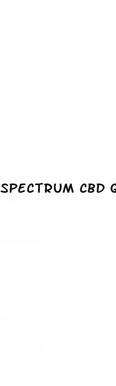 spectrum cbd gummies for diabetics