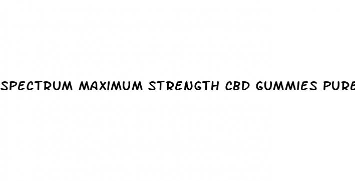 spectrum maximum strength cbd gummies pure organic hemp extract