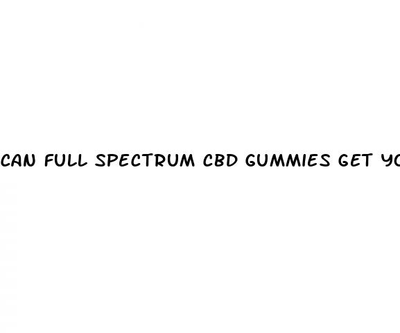 can full spectrum cbd gummies get you high