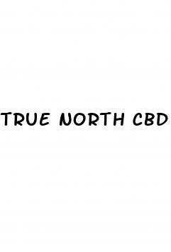 true north cbd gummies male enhancement reviews