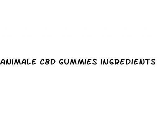 animale cbd gummies ingredients