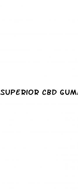 superior cbd gummies 300mg