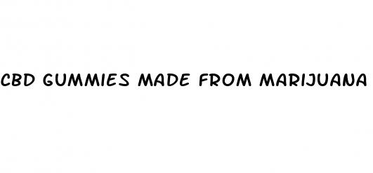 cbd gummies made from marijuana