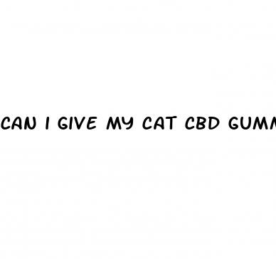 can i give my cat cbd gummies