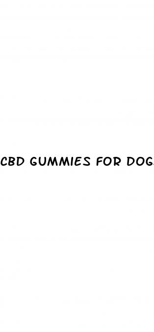 cbd gummies for dogs petsmart