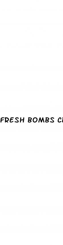 fresh bombs cbd gummies