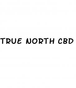 true north cbd gummies precio