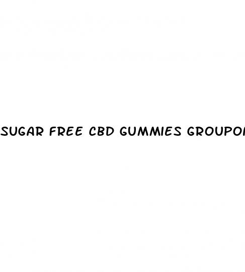 sugar free cbd gummies groupon