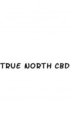 true north cbd gummies price