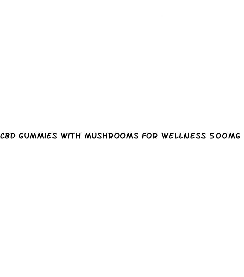 cbd gummies with mushrooms for wellness 500mg