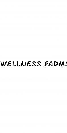 wellness farms cbd gummies