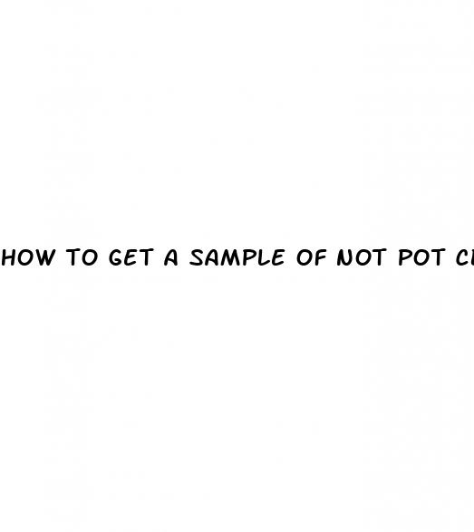 how to get a sample of not pot cbd gummies