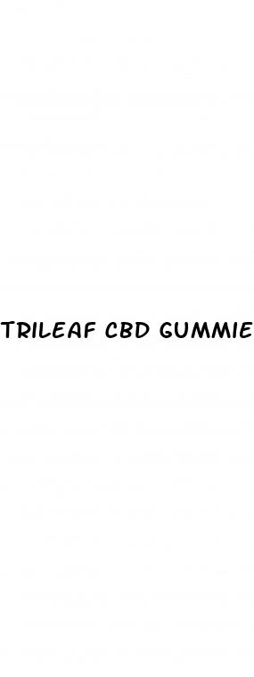 trileaf cbd gummies side effects