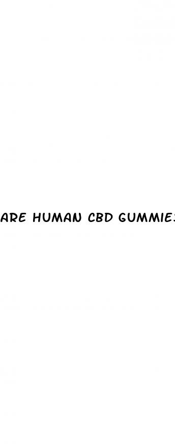 are human cbd gummies safe for dogs