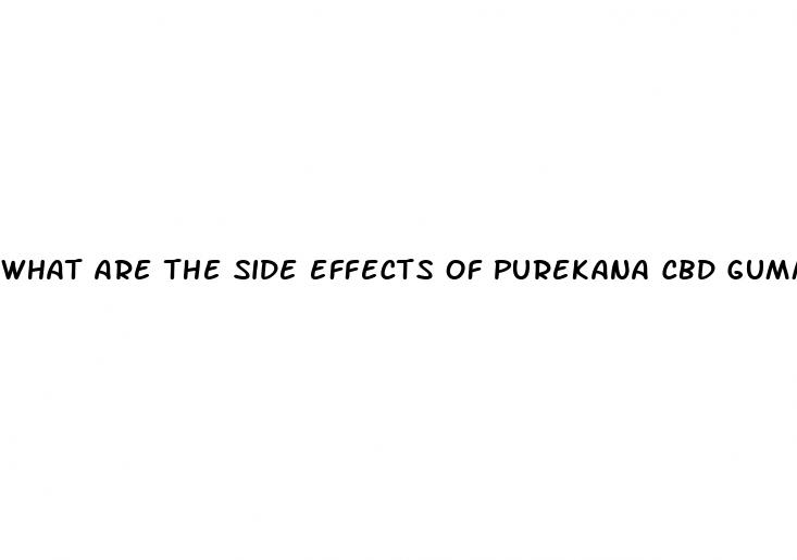 what are the side effects of purekana cbd gummies