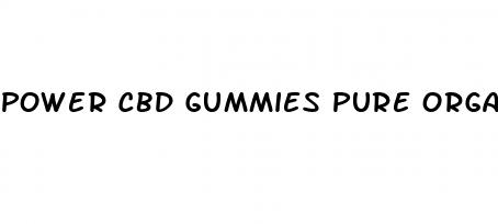 power cbd gummies pure organic hemp