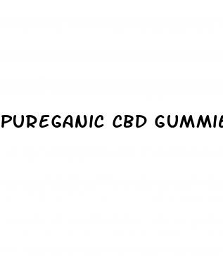 pureganic cbd gummies