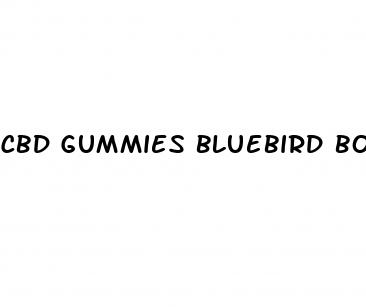 cbd gummies bluebird botanicals