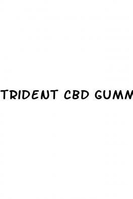 trident cbd gummies ingredients