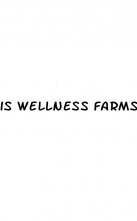 is wellness farms cbd gummies legit