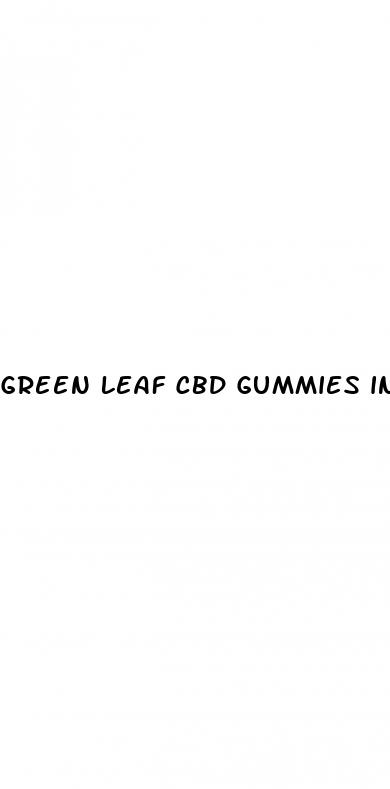 green leaf cbd gummies ingredients