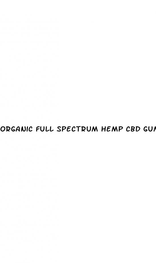 organic full spectrum hemp cbd gummies