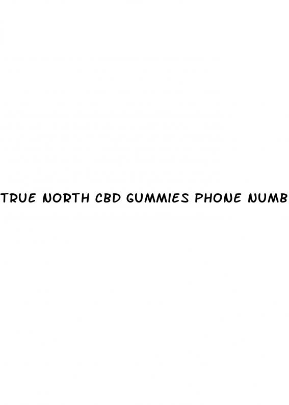 true north cbd gummies phone number