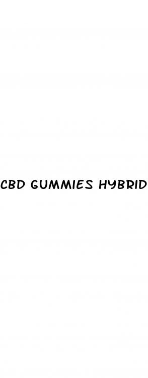 cbd gummies hybrid