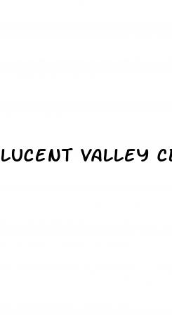lucent valley cbd gummies ingredients