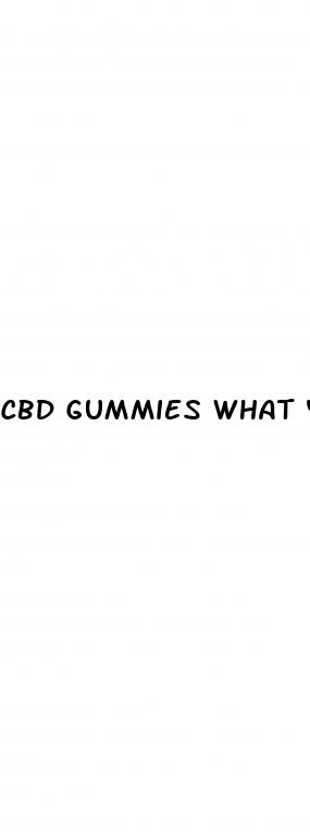cbd gummies what you need to know