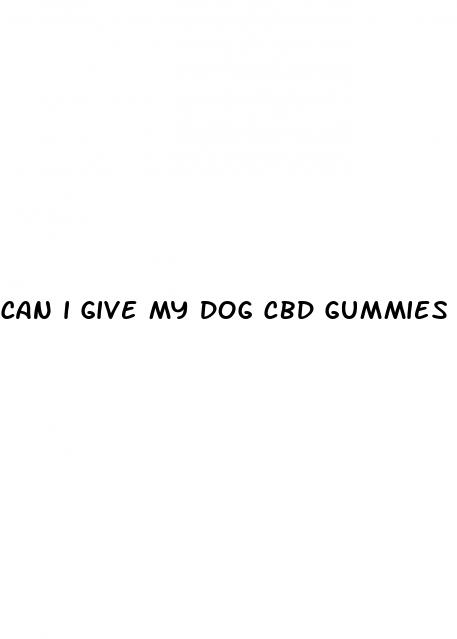 can i give my dog cbd gummies for anxiety