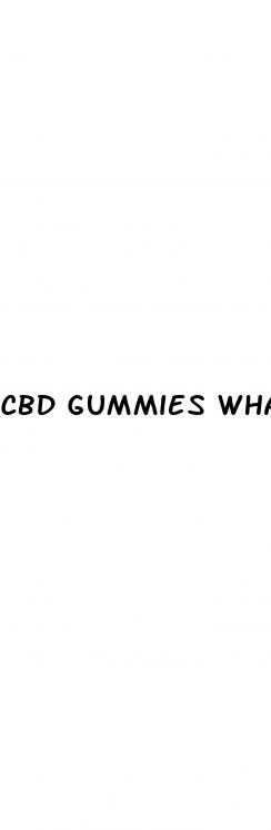 cbd gummies what do they do for you