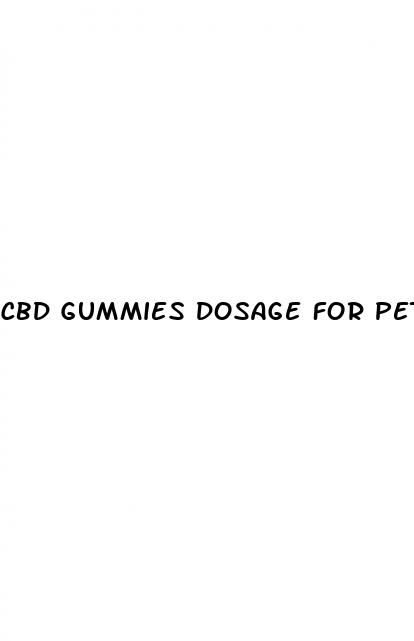 cbd gummies dosage for pets